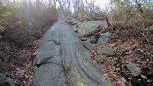 major welch trail - rocks