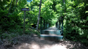 palisades state line lookout - peanut leap trail - forest view trail bridge