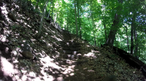 palisades state line lookout - peanut leap trail - forest view trail staircase
