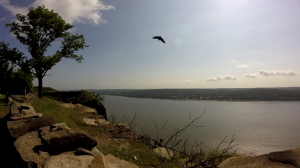 palisades state line lookout - peanut leap trail - hawk
